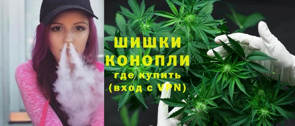 дживик Богородицк