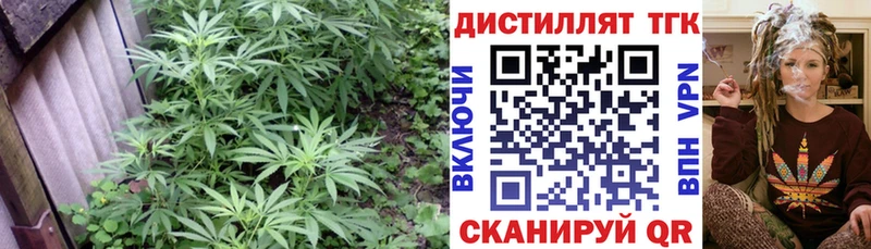 ТГК вейп Купить где Заринск