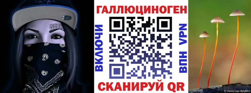 Псилоцибиновые грибы прущие грибы Купить где Заринск